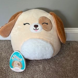 Harrison the squish mellows he is a dog 🐶